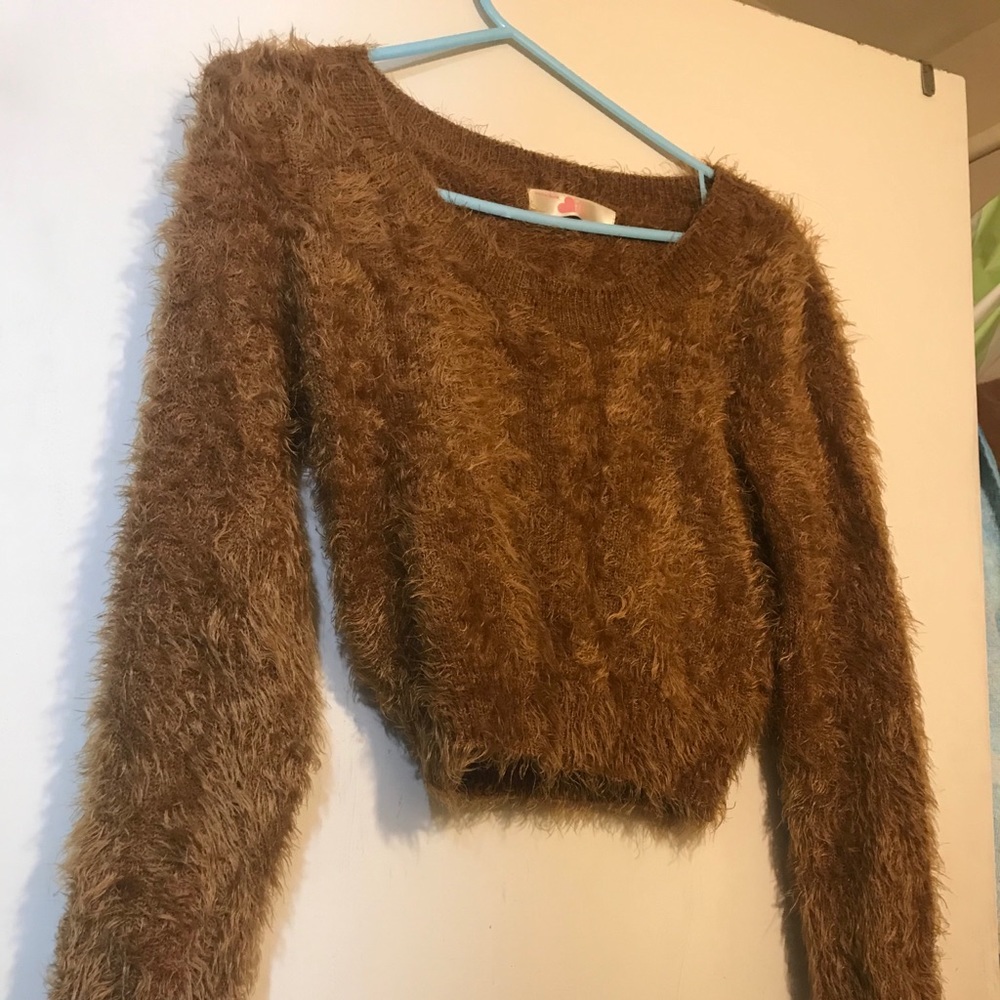 Fuzzy brown American Apparel sweater